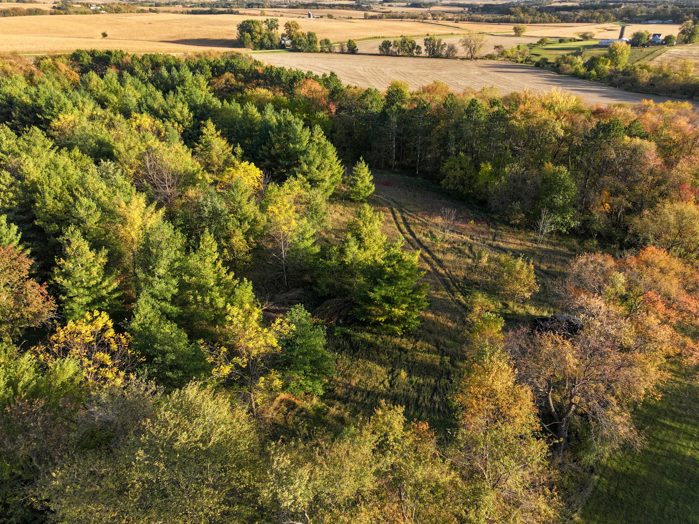 0 North Mt Vernon Road Forreston, IL 61030 - Photo 26 of 54 Gallery Image 26