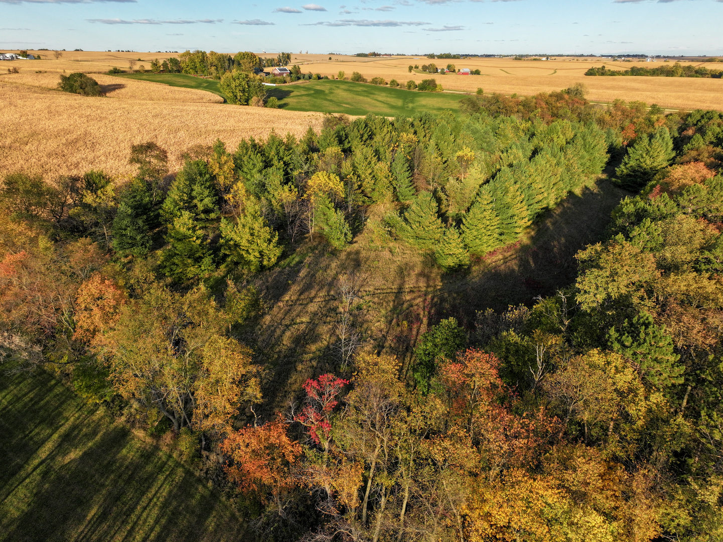 0 North Mt Vernon Road Forreston, IL 61030 - Photo 27 of 54 Gallery Image 27