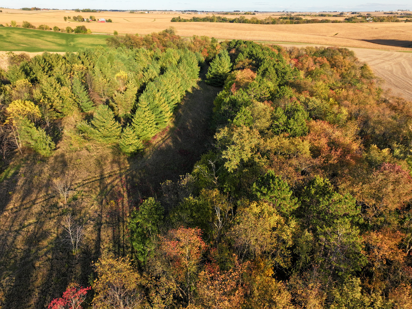0 North Mt Vernon Road Forreston, IL 61030 - Photo 29 of 54 Gallery Image 29