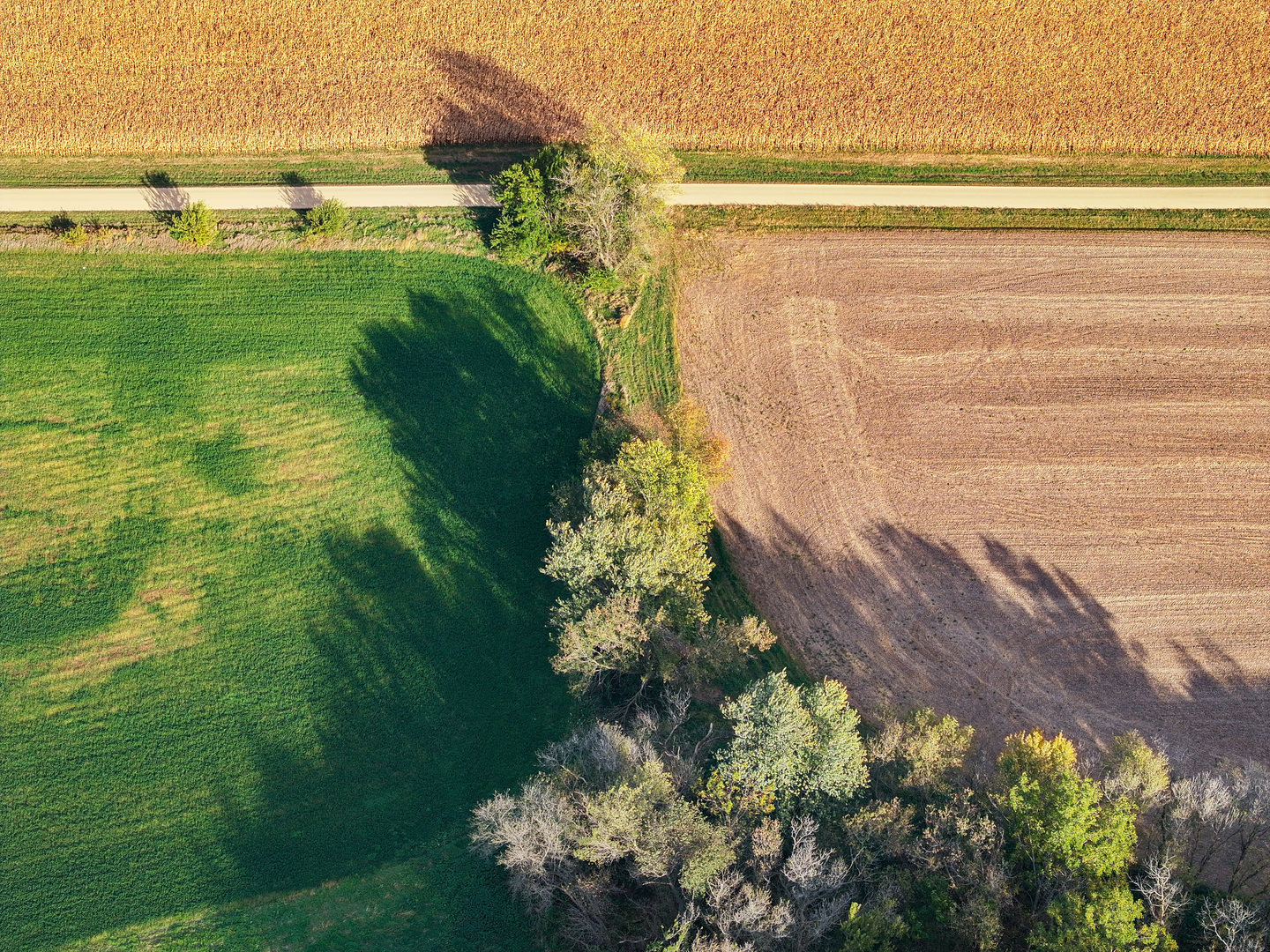 0 North Mt Vernon Road Forreston, IL 61030 - Photo 33 of 54 Gallery Image 33