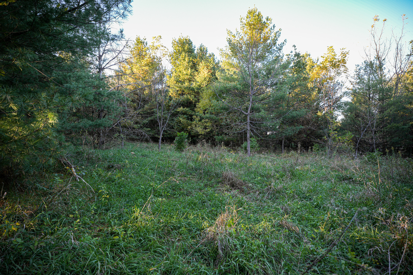0 North Mt Vernon Road Forreston, IL 61030 - Photo 37 of 54 Gallery Image 37