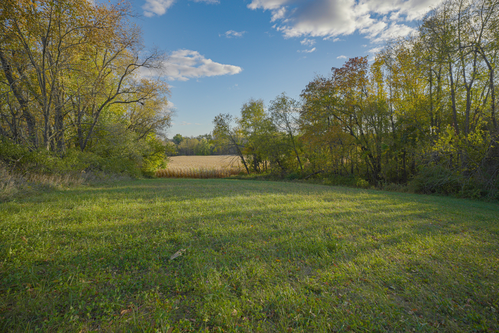 0 North Mt Vernon Road Forreston, IL 61030 - Photo 38 of 54 Gallery Image 38