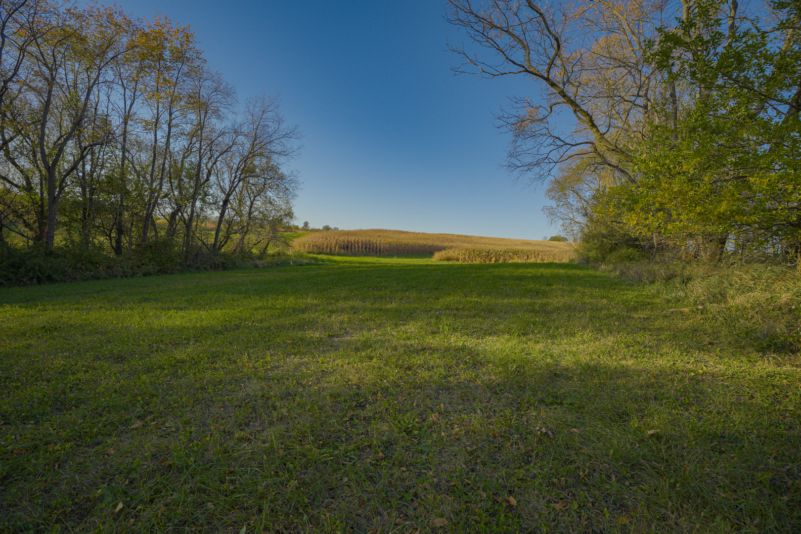 0 North Mt Vernon Road Forreston, IL 61030 - Photo 39 of 54 Gallery Image 39