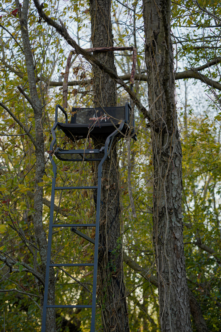 0 North Mt Vernon Road Forreston, IL 61030 - Photo 42 of 54 Gallery Image 42