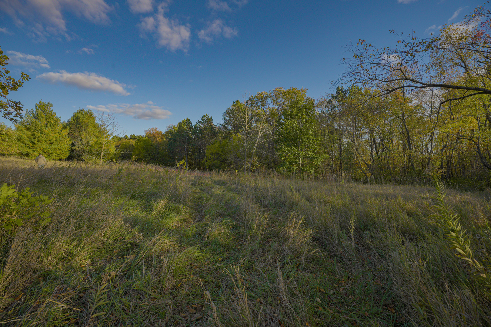 0 North Mt Vernon Road Forreston, IL 61030 - Photo 45 of 54 Gallery Image 45