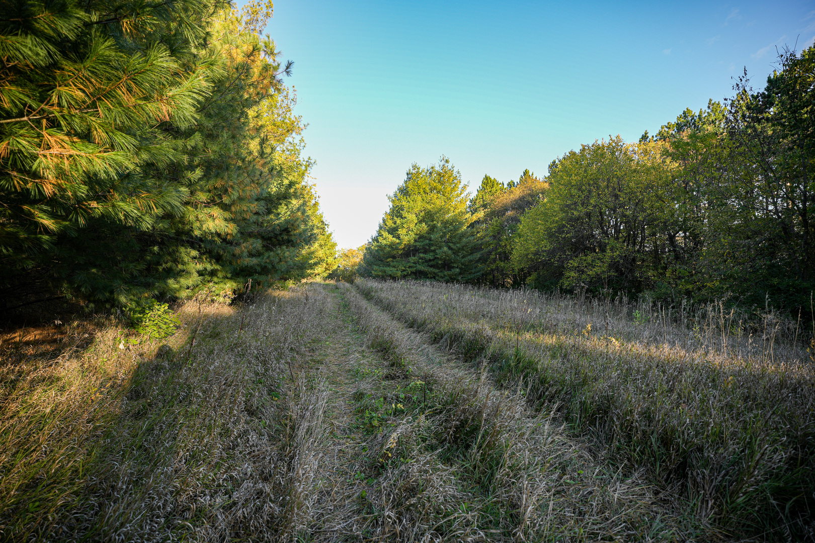 0 North Mt Vernon Road Forreston, IL 61030 - Photo 46 of 54 Gallery Image 46