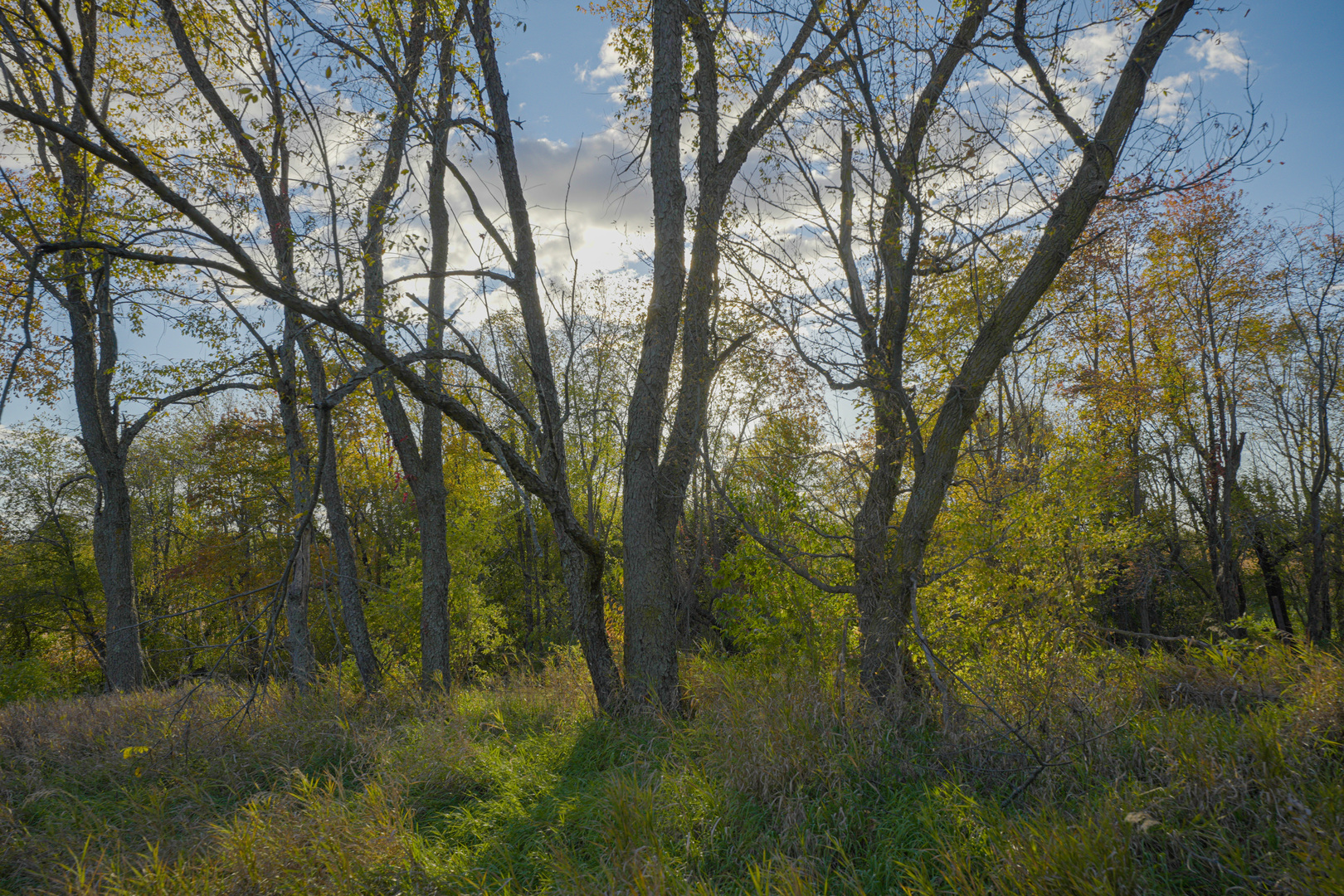 0 North Mt Vernon Road Forreston, IL 61030 - Photo 47 of 54 Gallery Image 47
