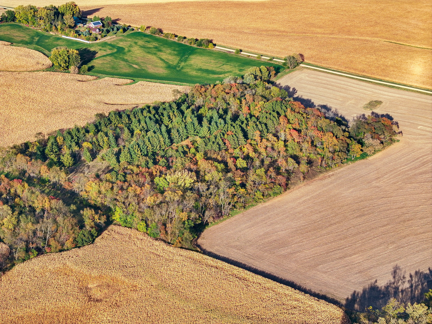 0 North Mt Vernon Road Forreston, IL 61030 - Photo 10 of 54 Gallery Image 10