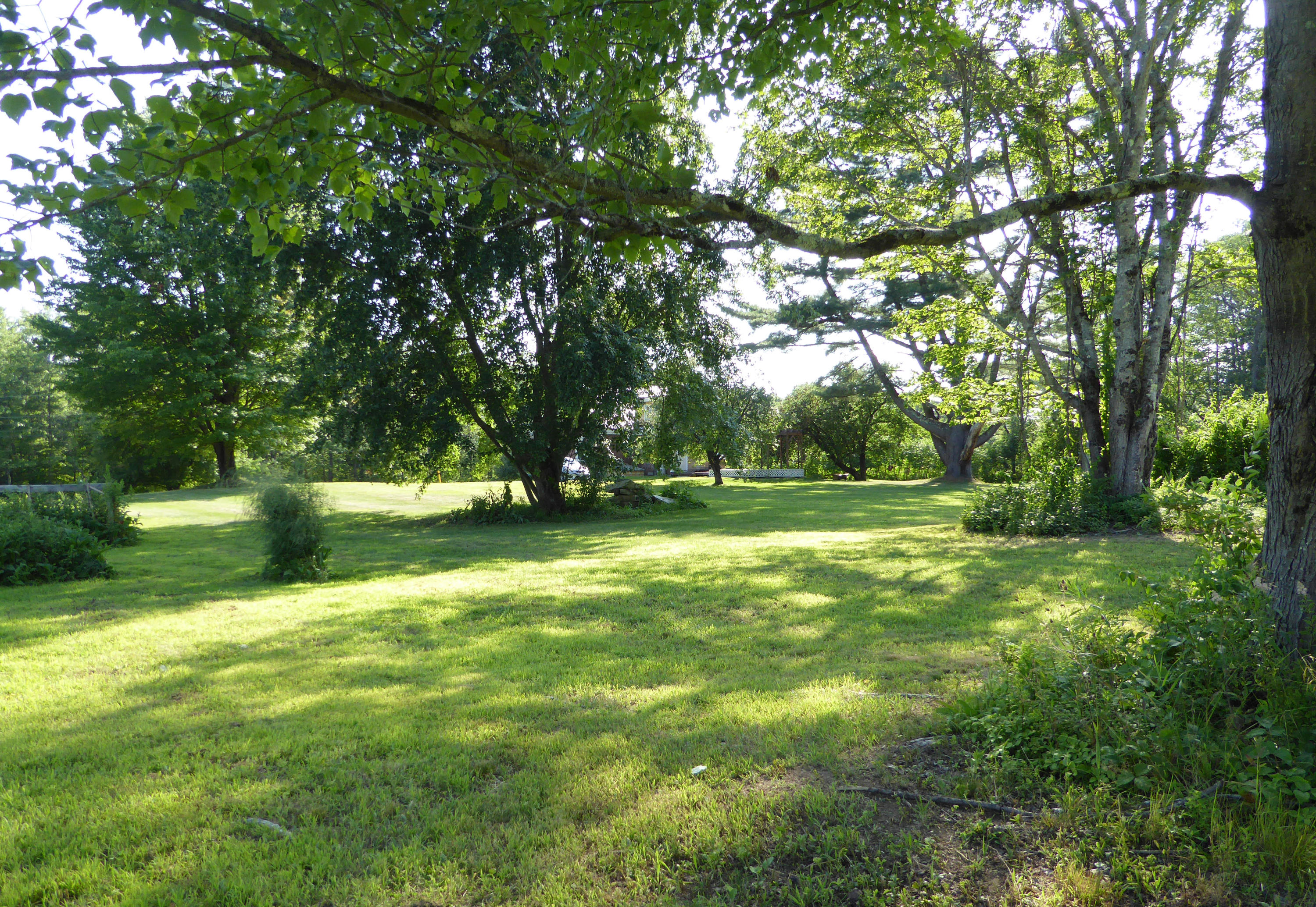 321 New Portland Road North Anson, ME 04958 - Photo 15 of 41 Beautiful Yard
