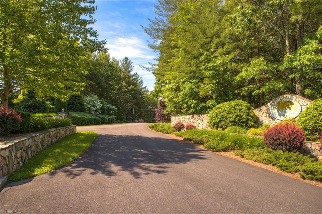 Tbd Bear Den Road Sparta, NC 28675 - Photo 11 of 13 Gallery Image 11
