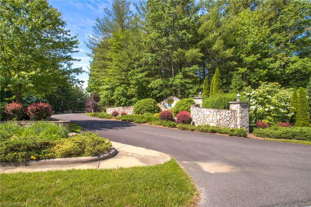 Tbd Bear Den Road Sparta, NC 28675 - Photo 10 of 13 Gallery Image 10