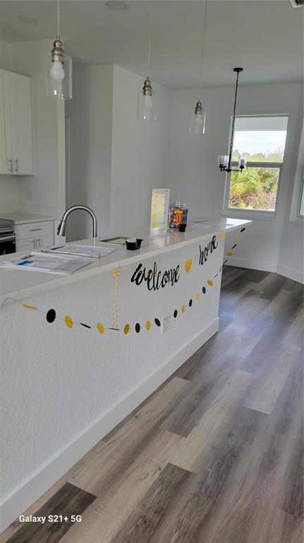 23458 Macbeth Court Punta Gorda, FL 33980 - Photo 11 of 33