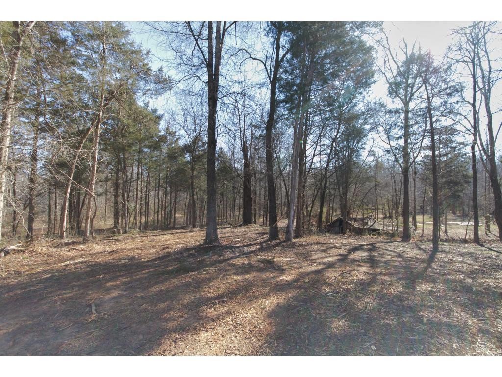 5911 Stockard Road Graham, NC 27253 - Photo 20 of 24 Gallery Image 20
