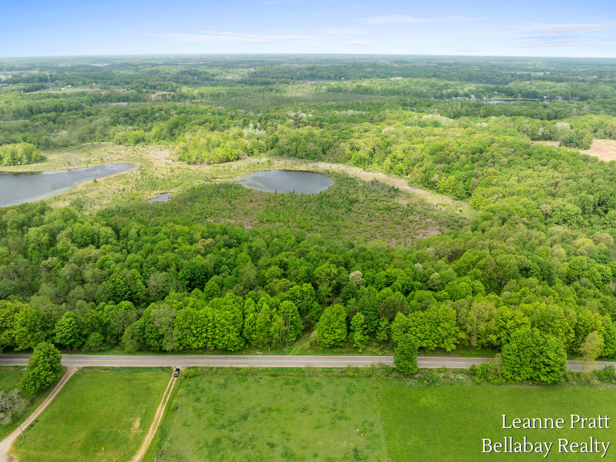 Vl Hutchinson Road Dowling, MI 49050 - Photo 2 of 9 12950-Hutchinson_211