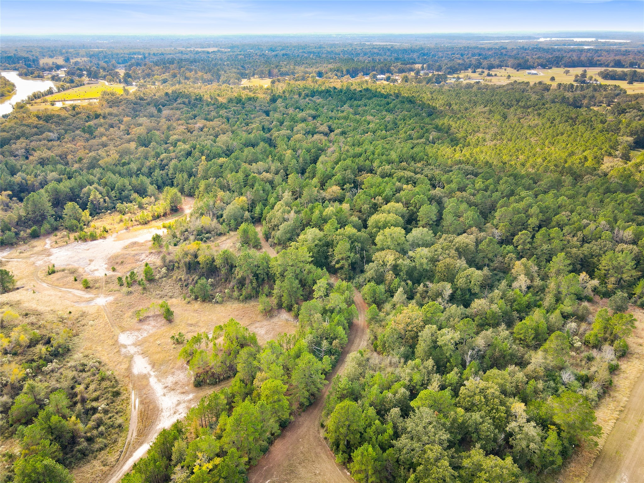 Lot 28 Lake Livingston Lane Trinity, TX 75862 - Photo 12 of 12 a view of a city