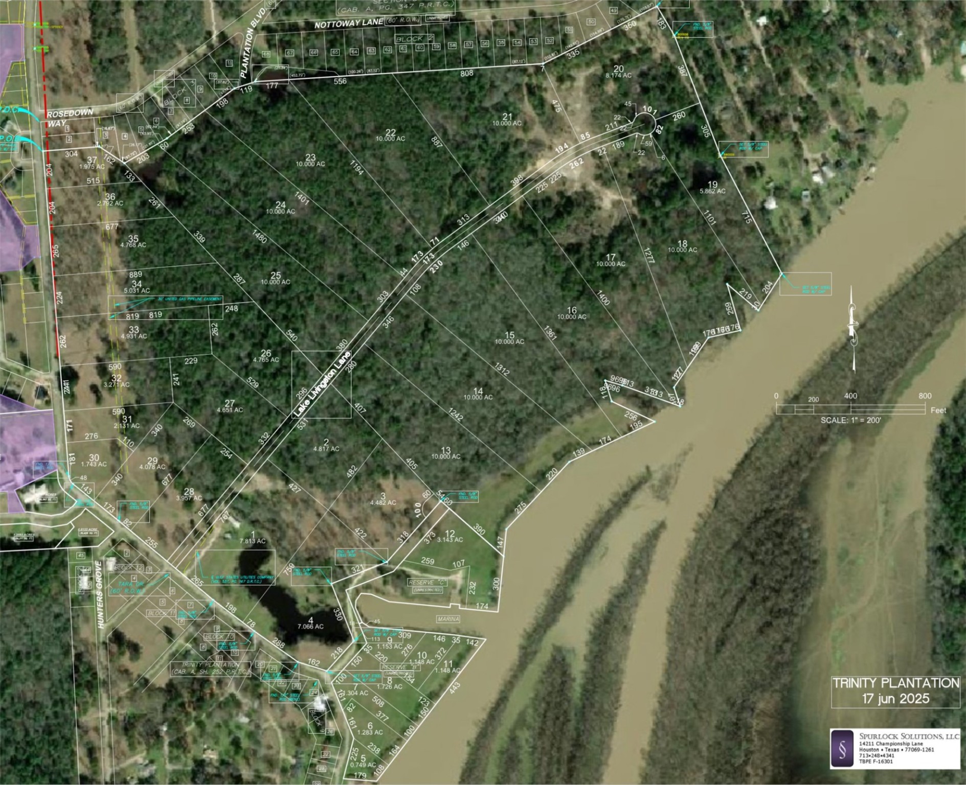 Lot 28 Lake Livingston Lane Trinity, TX 75862 - Photo 2 of 12 a view of a forest with a lake