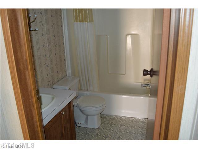 3629 Pine Ridge Road Lowgap, NC 27024 - Photo 13 of 16 Other Bath.