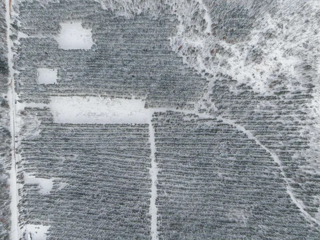 $85,000 | 6-ac Lot 4 6-ac, New Lisbon, WI 53950