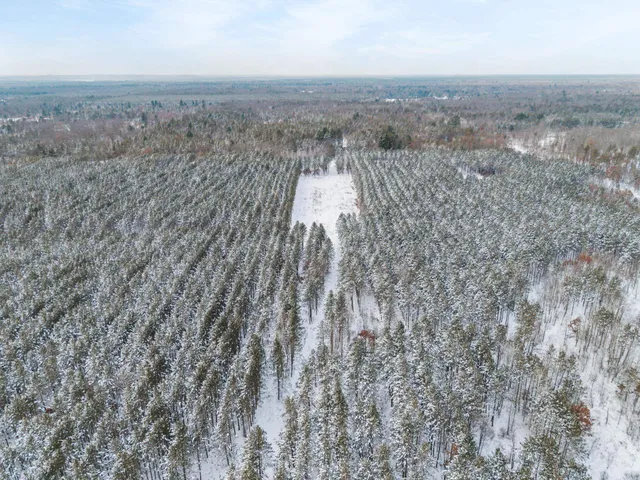 $85,000 | 6-ac Lot 4 6-ac, New Lisbon, WI 53950