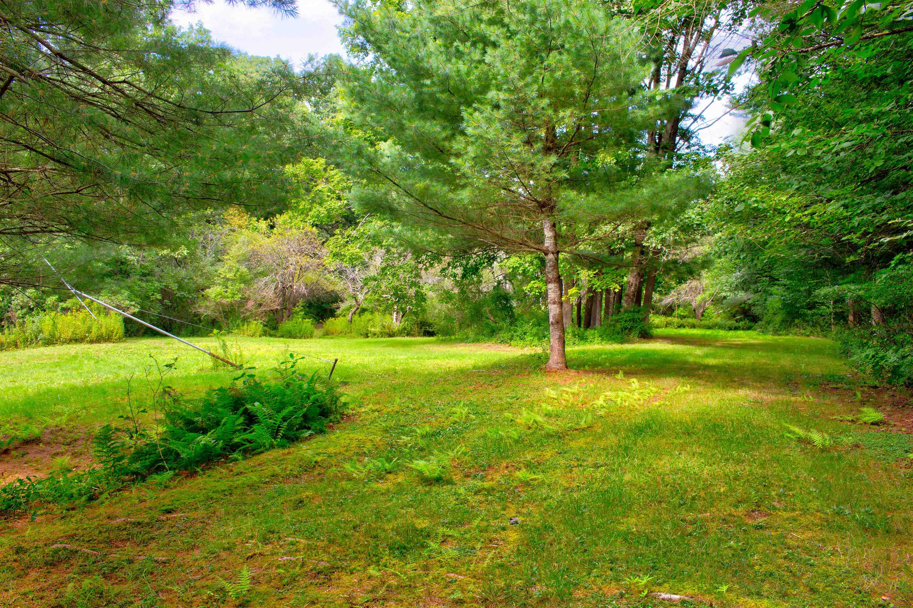 13 Old Sullivan Road Gilsum, NH 03448 - Photo 5 of 47 Gallery Image 5