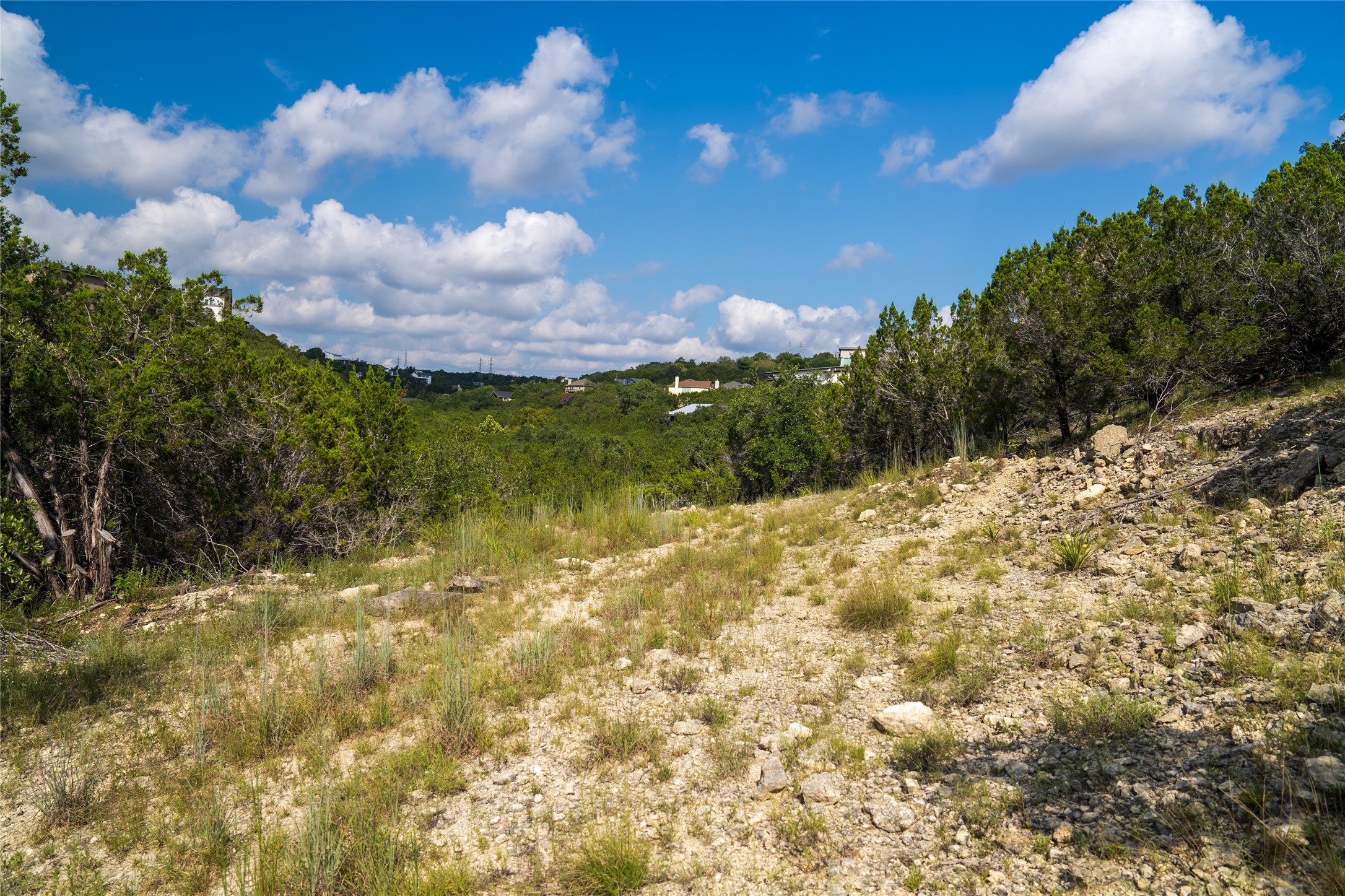 0 Geronimo Trail Austin, TX 78734 - Photo 7 of 8 a view of a big yard with lots of green space
