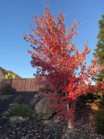 $1,799,000 | 5100 Thalia Drive, El Dorado Hills, CA 95762