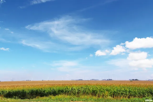 $440,000 | 722 Springfield Road, San Jose, IL 62682