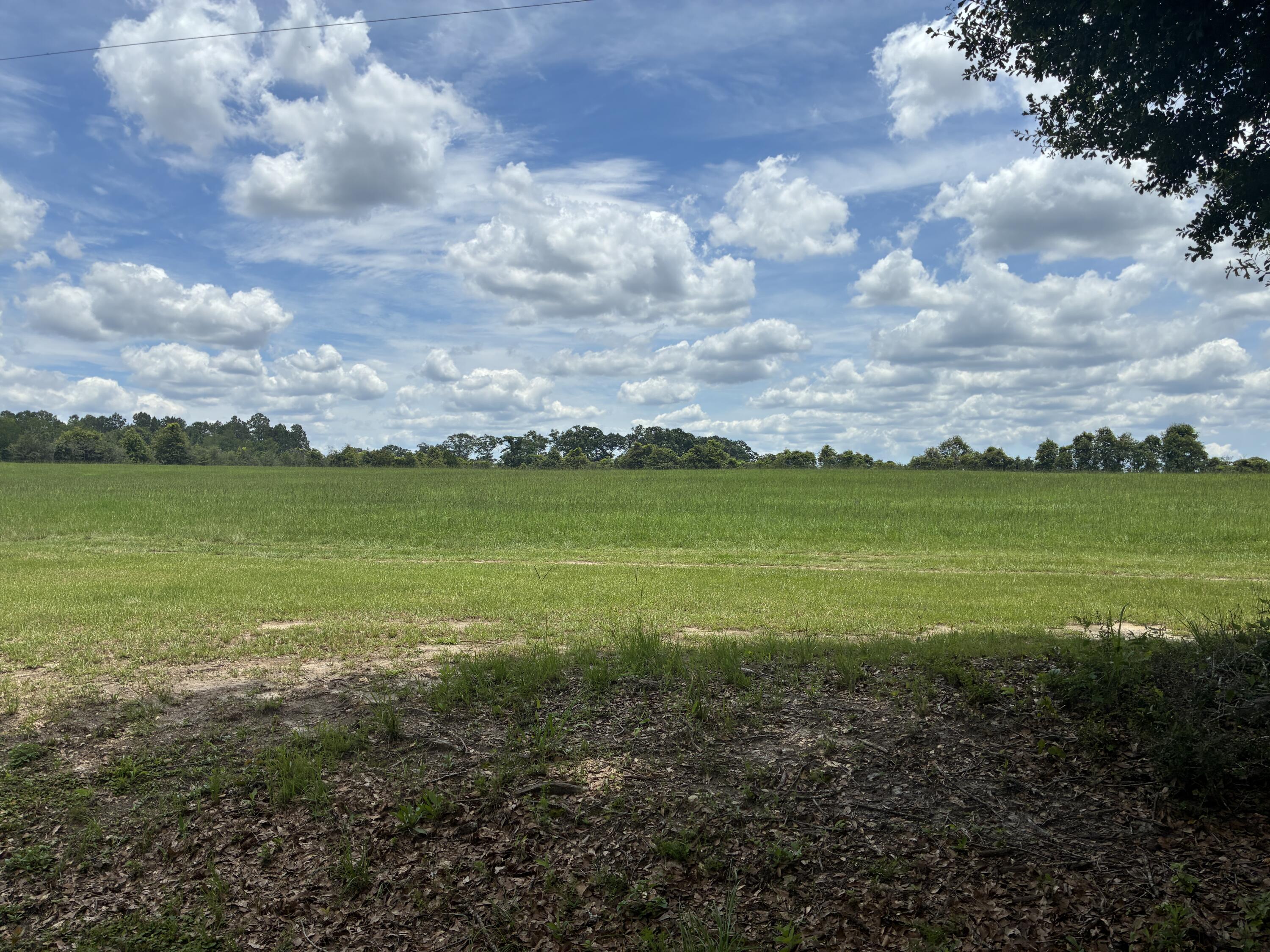 281 South Suttles Road DeFuniak Springs, FL 32433 - Photo 5 of 15 Unit 2 View