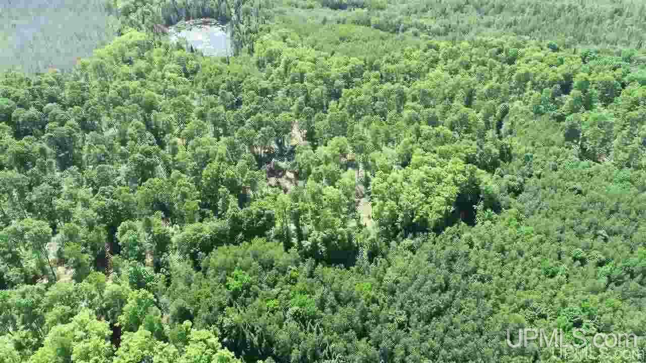 Tbd Off S Curtis Road Germfask, MI 49820 - Photo 17 of 24 Gallery Image 17