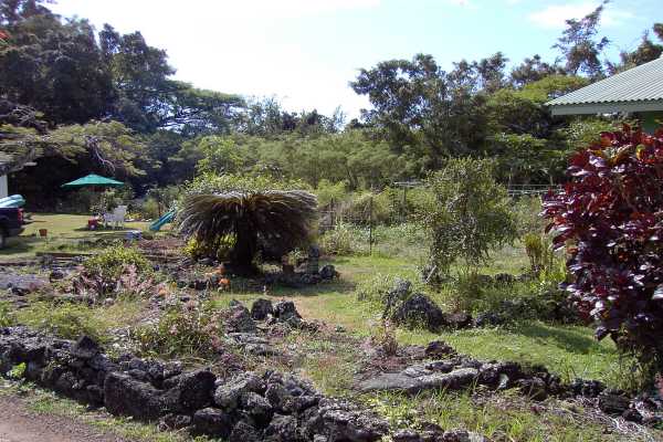3377 Puni Road Koloa, HI 96756 - Photo 3 of 3 a backyard of a house with a garden and plants