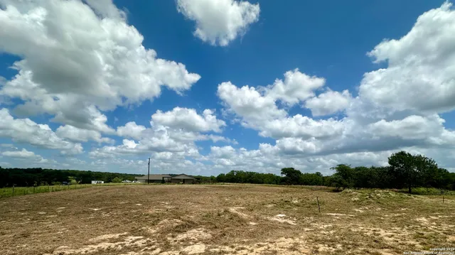 a view of a plants with wooden floor