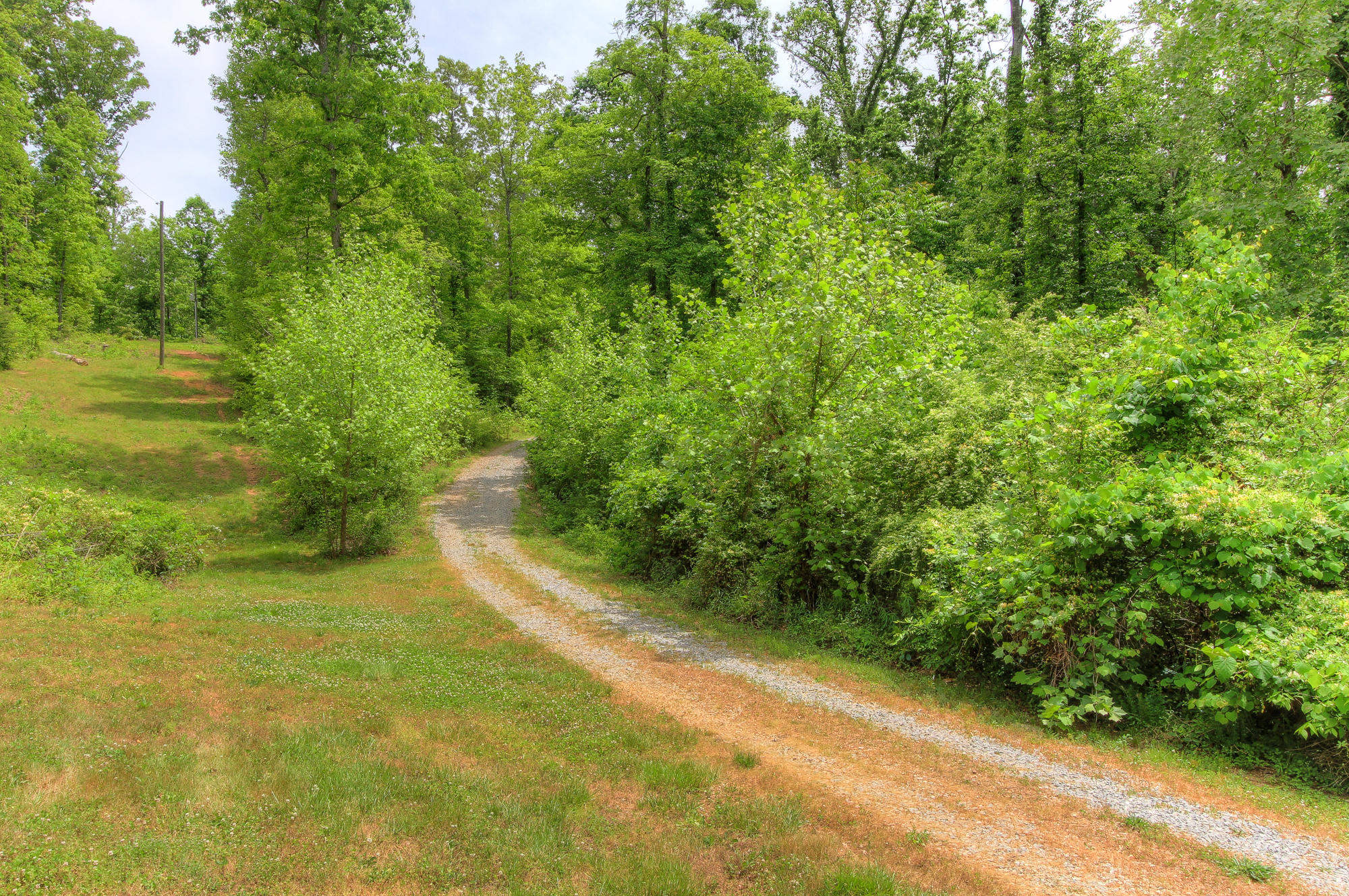 845 Cloyds Church Road Greenback, TN 37742 - Photo 24 of 28 Drive to Home