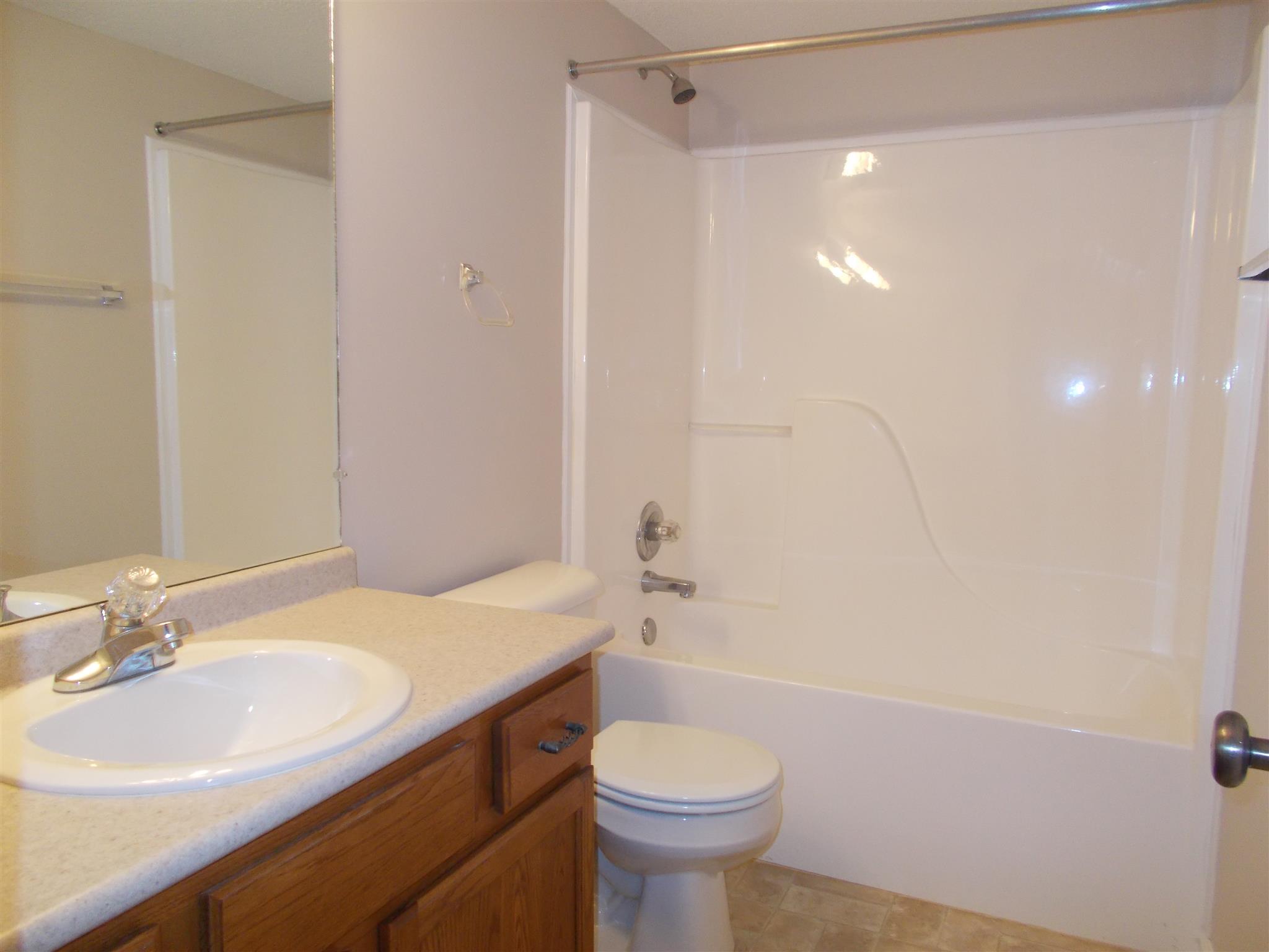 3398 Queensbury Road Clarksville, TN 37042 - Photo 19 of 26 a bathroom with a sink a toilet and shower