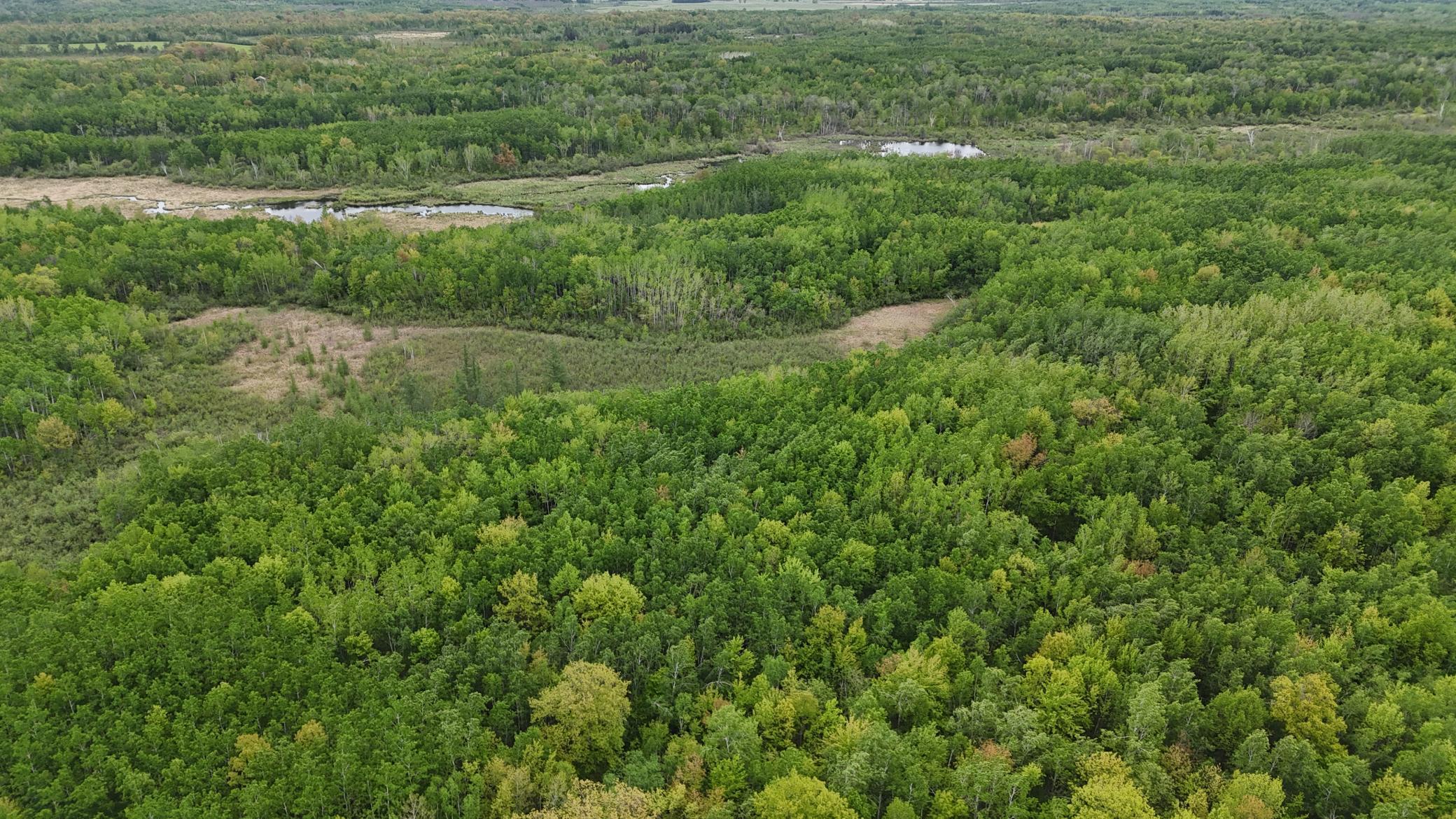 Xxx Little Sand Road Sandstone, MN 55072 - Photo 1 of 1 Gallery Image 1