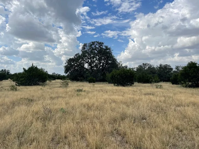 a view of yard with large trees