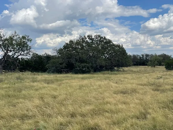 $700,000 | 2664 County Road 220, Eldorado, TX 76936