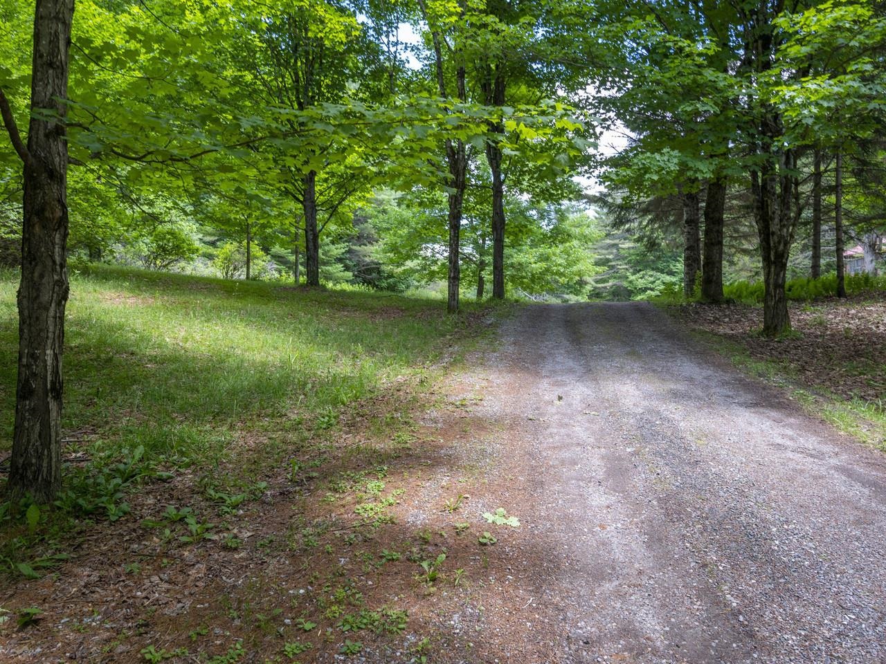 152 Wood Road Middlesex, VT 05682 - Photo 48 of 54