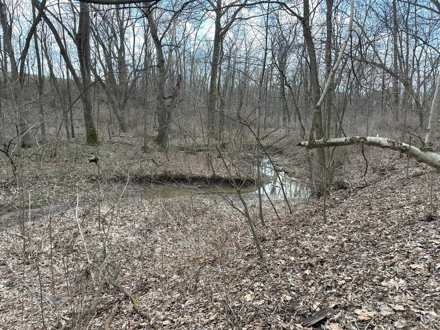 0 Wilson Road Winchester, OH 45697 - Photo 21 of 69