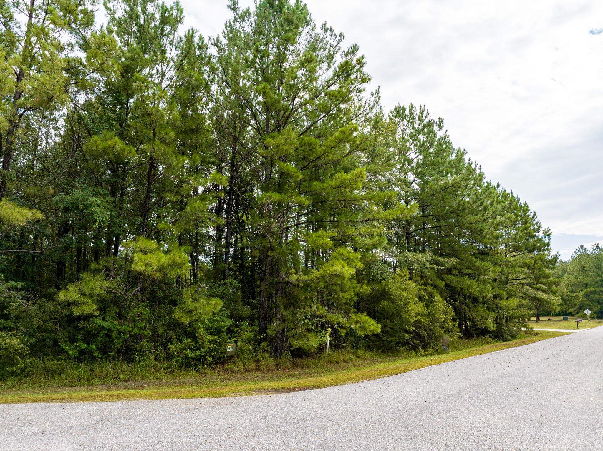 0 Marlin Street Stockton, AL 36579 - Photo 11 of 11