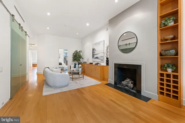 a living room with furniture a rug and a potted plant