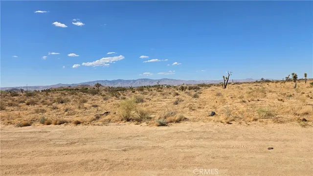 a view of beach and an ocean