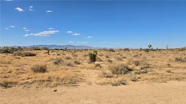 $45,000 | 0 Dalton Avenue, Mojave, CA 93501