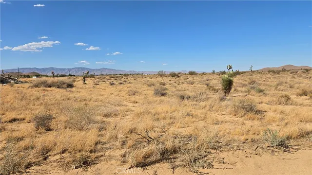 $45,000 | 0 Dalton Avenue, Mojave, CA 93501