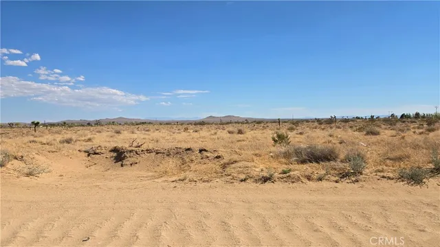 a view of beach and ocean