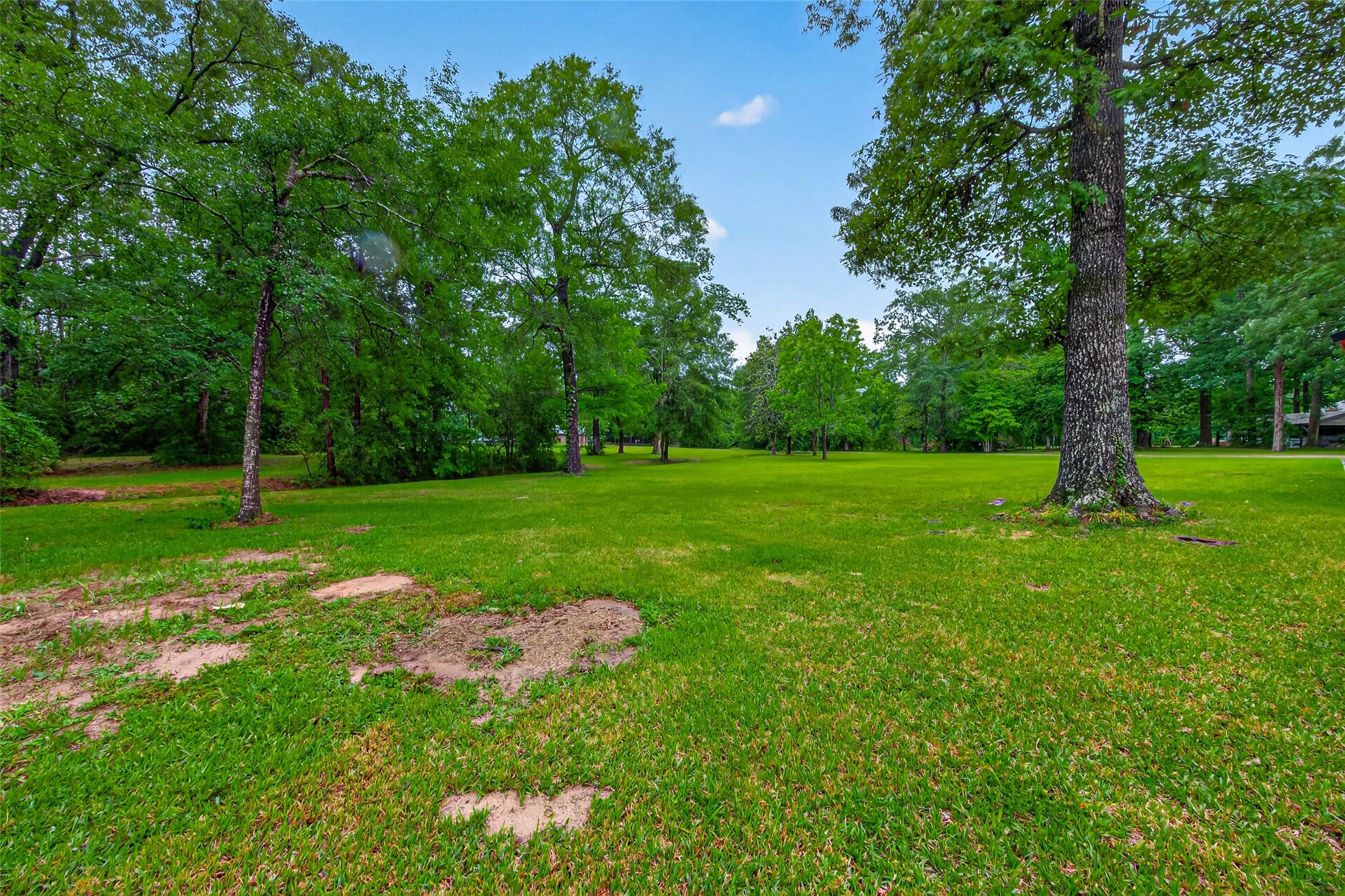 2181 Stringtown Road Shepherd, TX 77371 - Photo 39 of 50