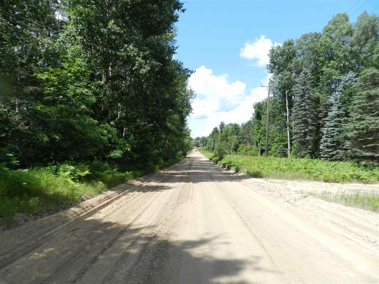 7529 Blue Road Southwest Fife Lake, MI 49633 - Photo 14 of 62 1865960-13.JPG