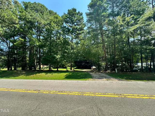 a view of a park with large trees and plants