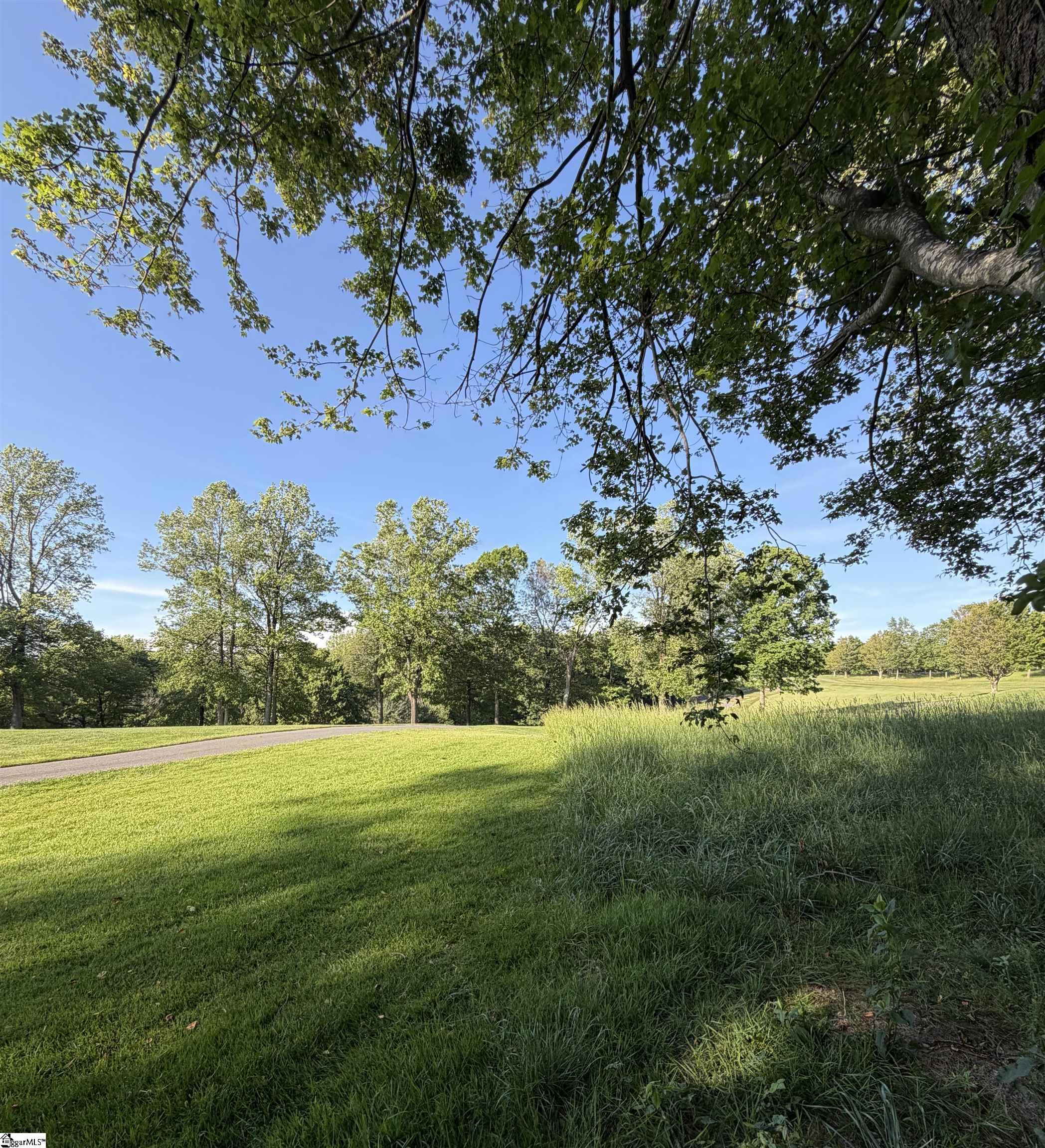 103 May Apple Way Landrum, SC 29356 - Photo 9 of 12