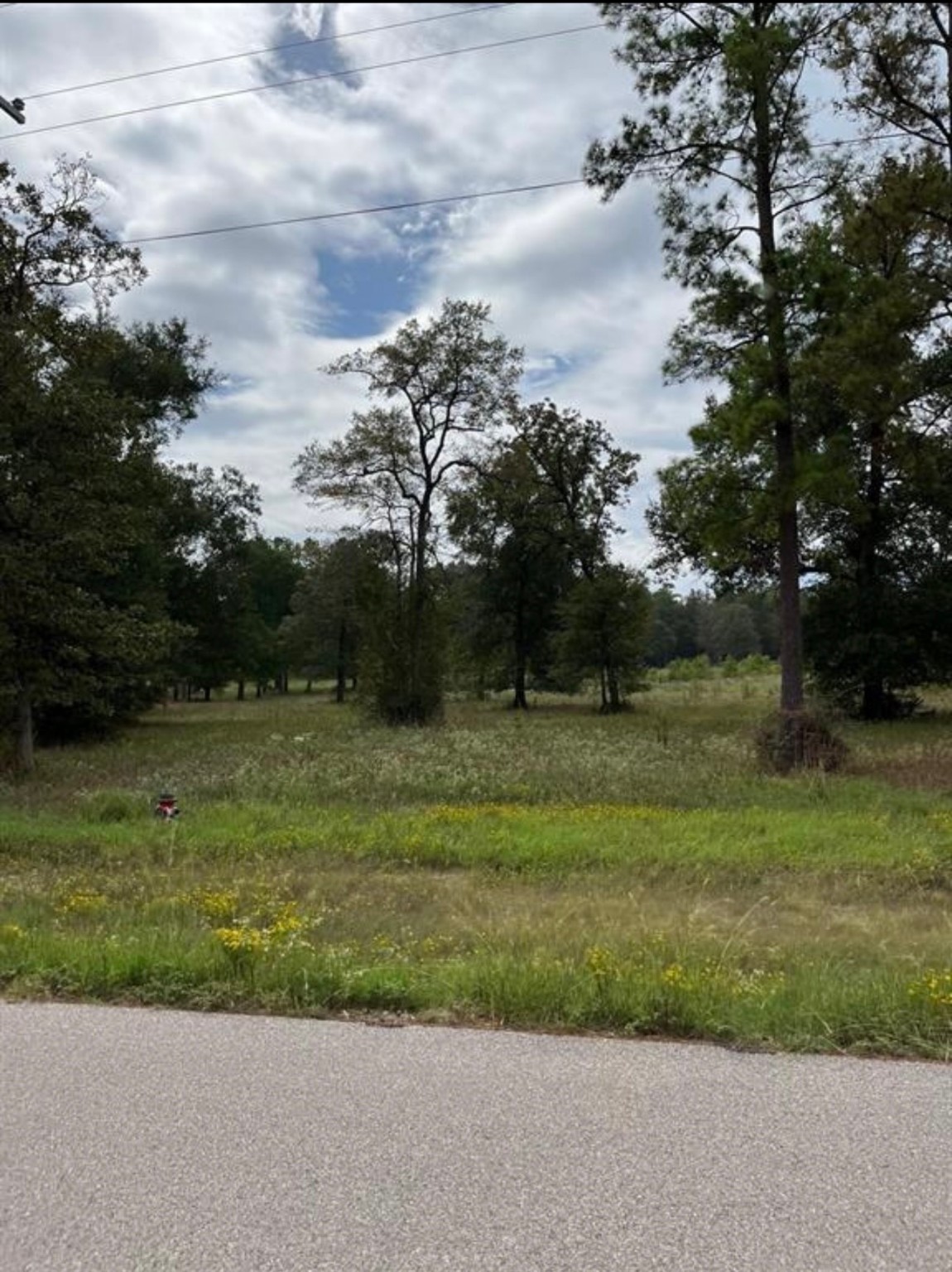 Lot 3 Dahlia Road Huntsville, TX 77320 - Photo 2 of 5 a view of a garden