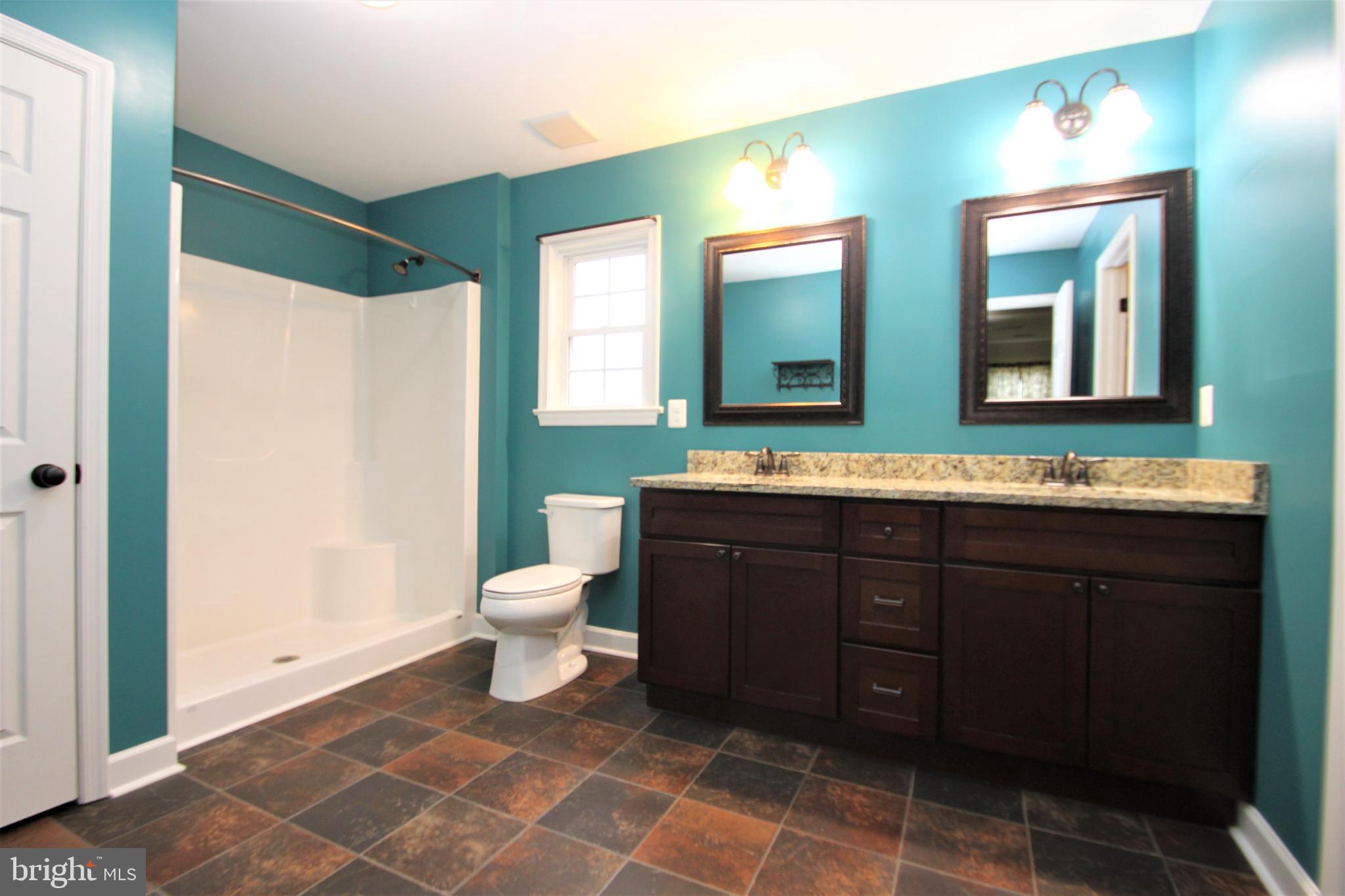 15445 Little Fork Church Road Rixeyville, VA 22737 - Photo 21 of 36 Primary bath